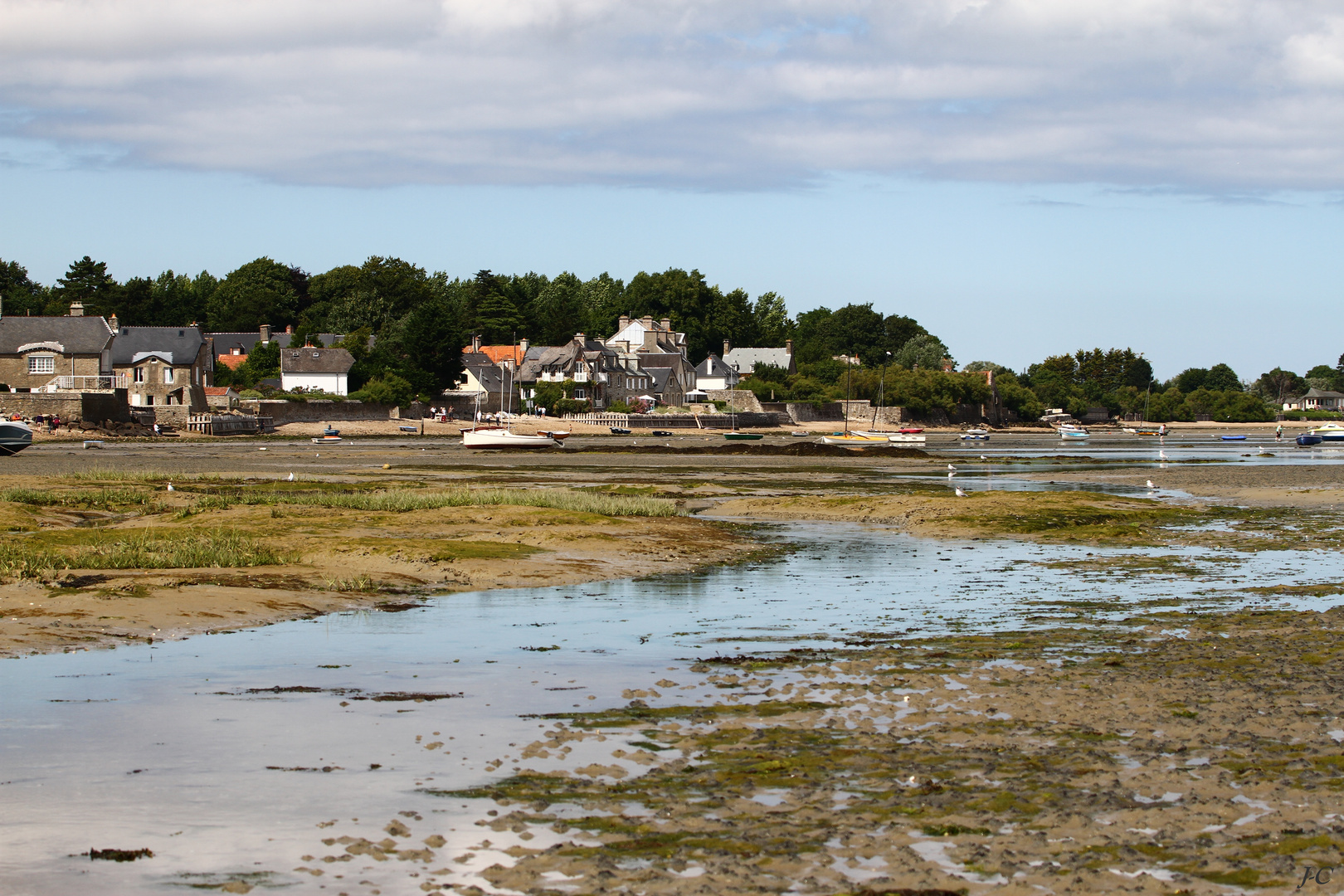 " Morsalines "