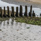 Morsche Zaunpfaehle im Watt bei Amrum