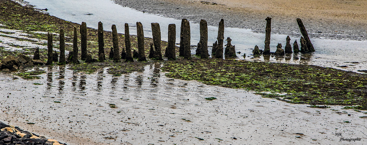 Morsche Zaunpfaehle im Watt bei Amrum