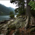 Morskie Oko 2.