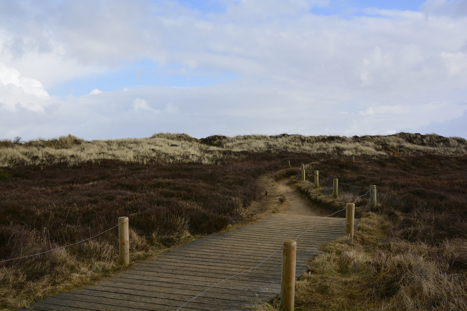 MORSUM AUF SYLT - FEBRUAR 2015