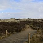 MORSUM AUF SYLT - FEBRUAR 2015