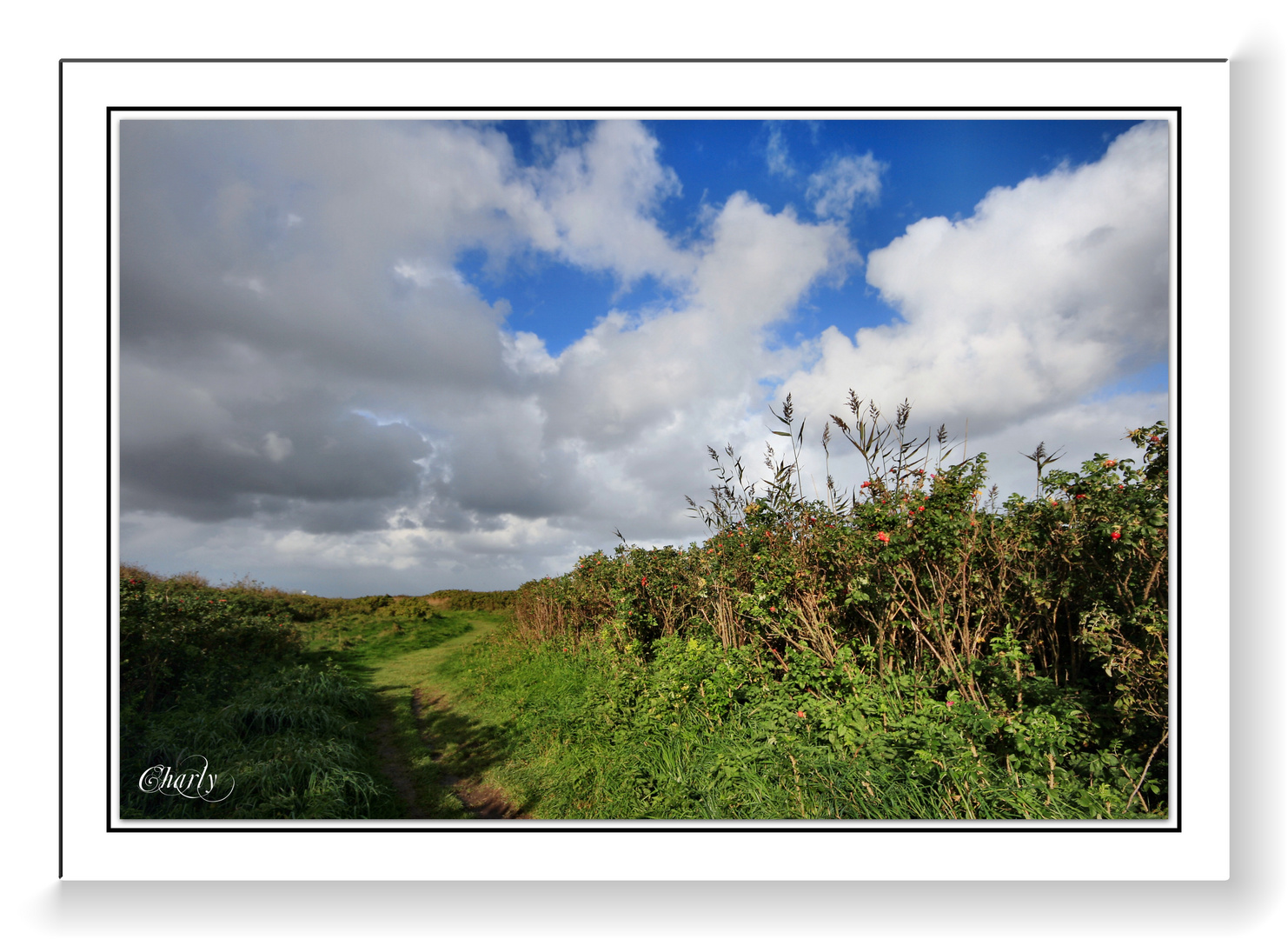 Morsum Kliff / Sylt