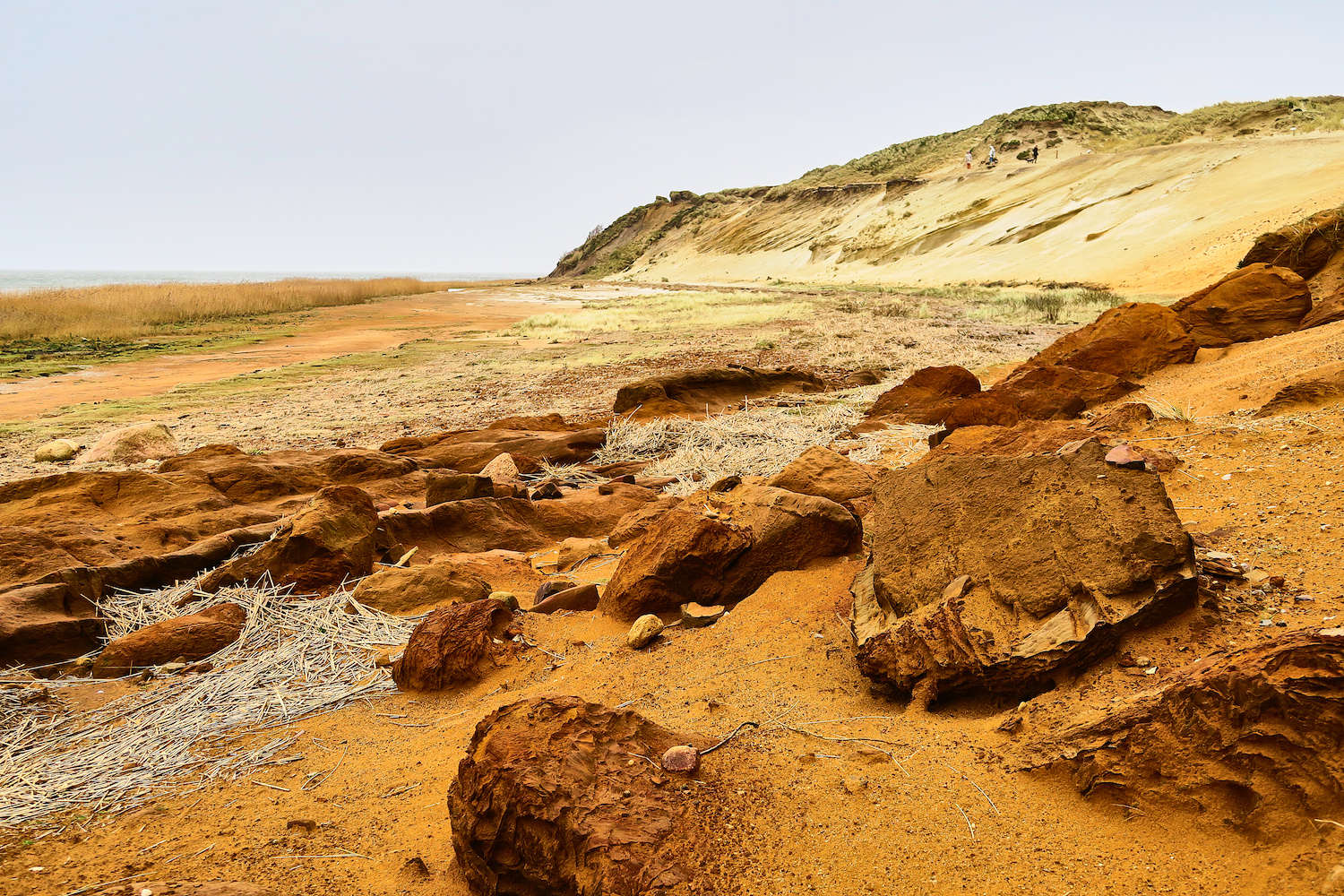Morsum: Sylt Foto & Bild | meer, landschaft, insel Bilder auf fotocommunity