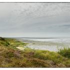 Morsumer Kliff, Sylt (I)