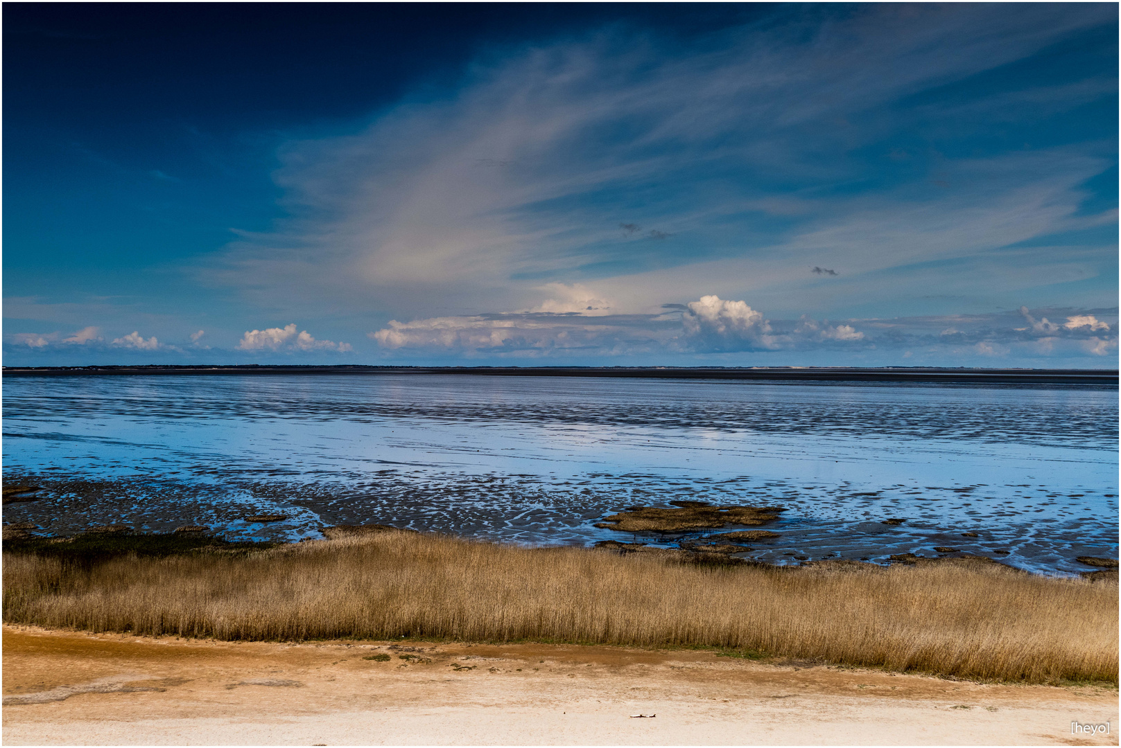 morsum.WATTENMEER | 02