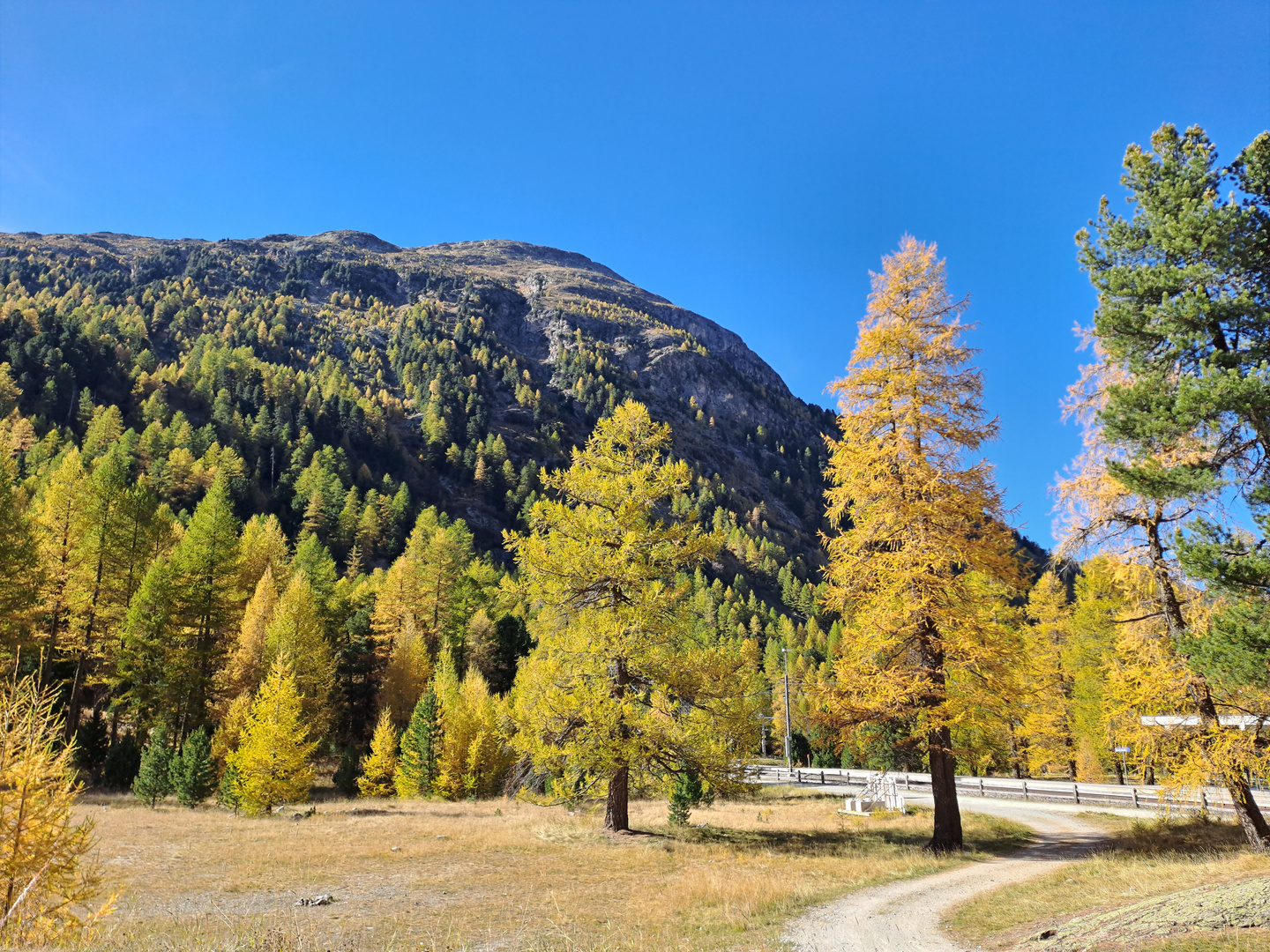 Morteratsch Engadin