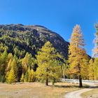 Morteratsch Engadin