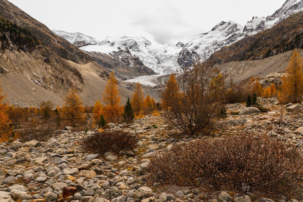 Morteratsch-Gletscher