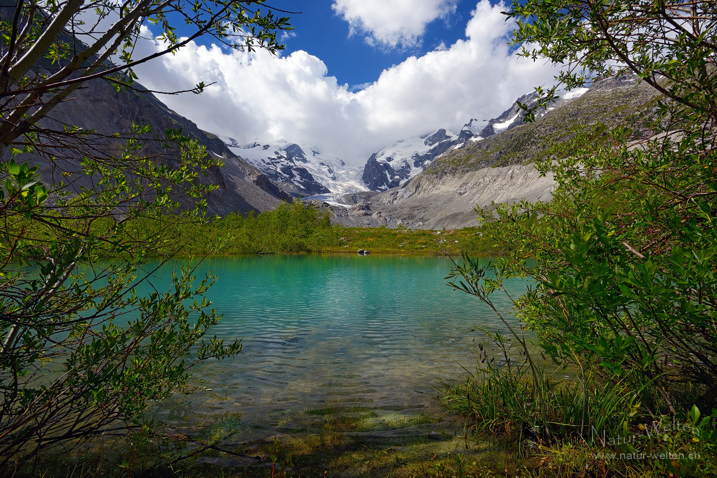 Morteratsch Gletscherseelein