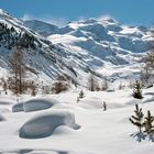 Morteratsch-Winterwanderweg