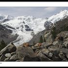 Morteratschgletscher