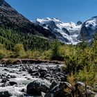 Morteratschgletscher