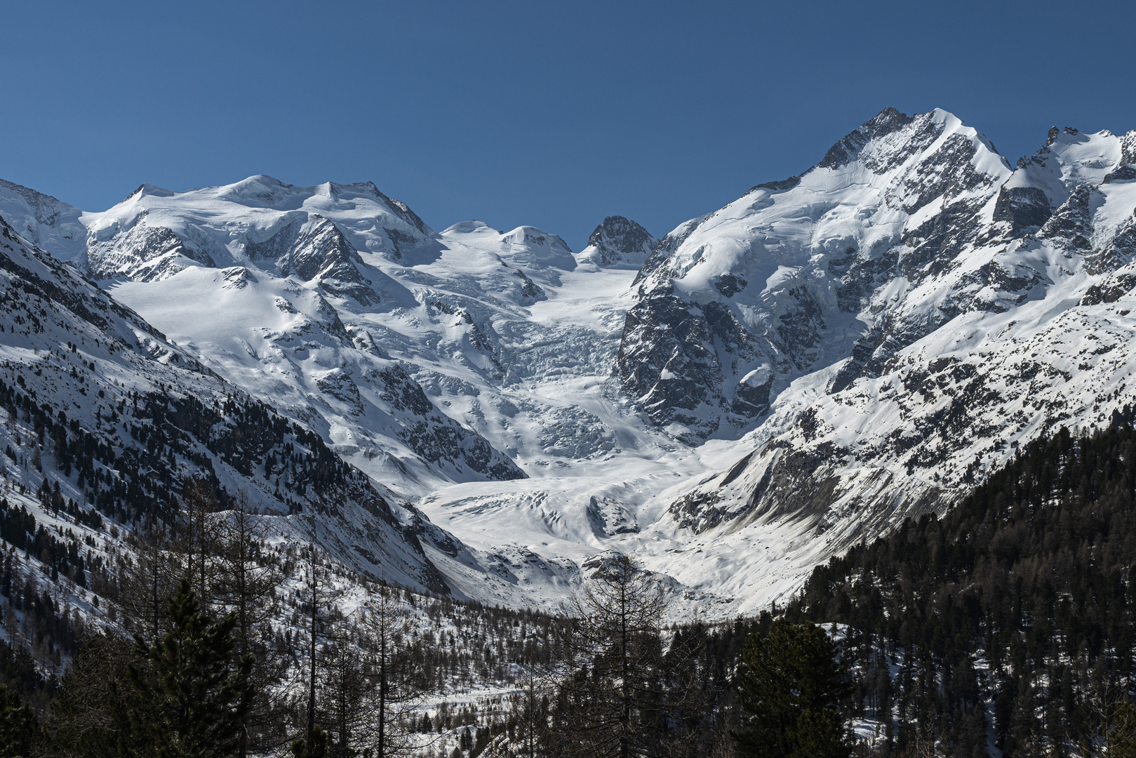 Morteratschgletscher und und die Berninagruppe