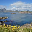 Mortsund-Lofoten