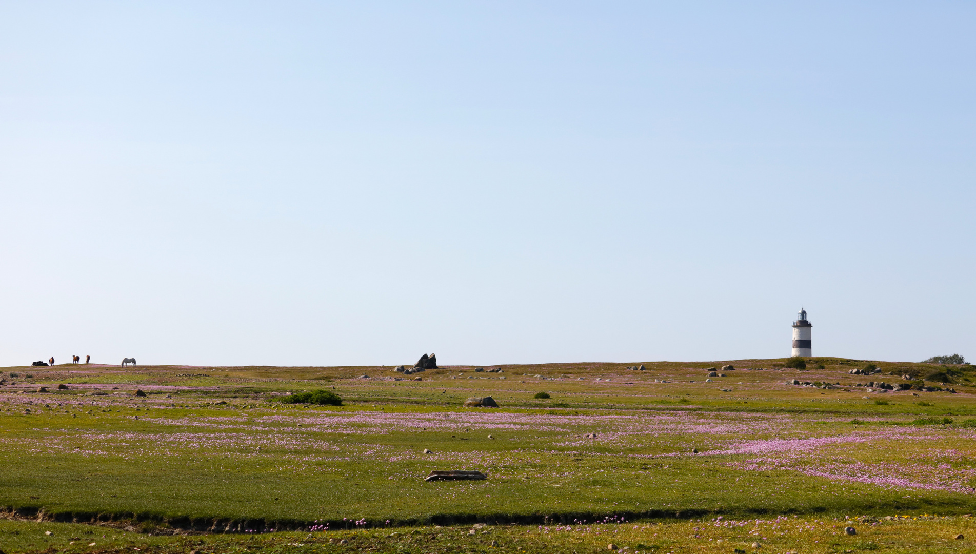 Morups tånge-Glommen / Falkenberg