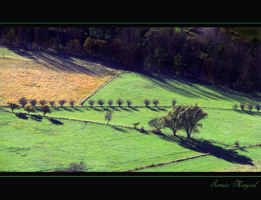 Mosaico Natural