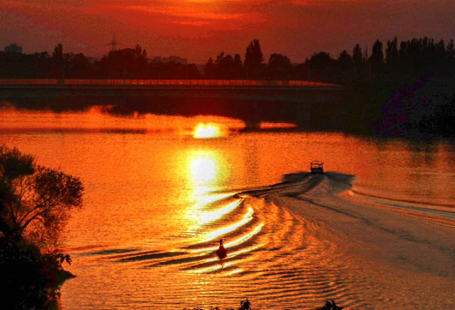 Mosaik Abendrot mit Schiffswellen auf dem Main