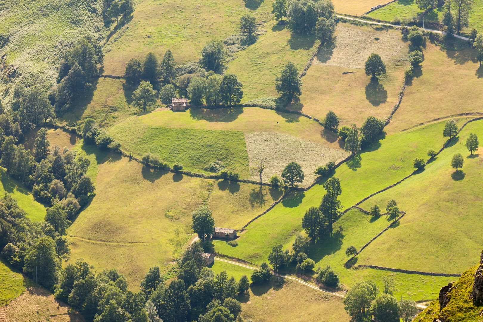 Mosaik aus Wiesen und Weiden