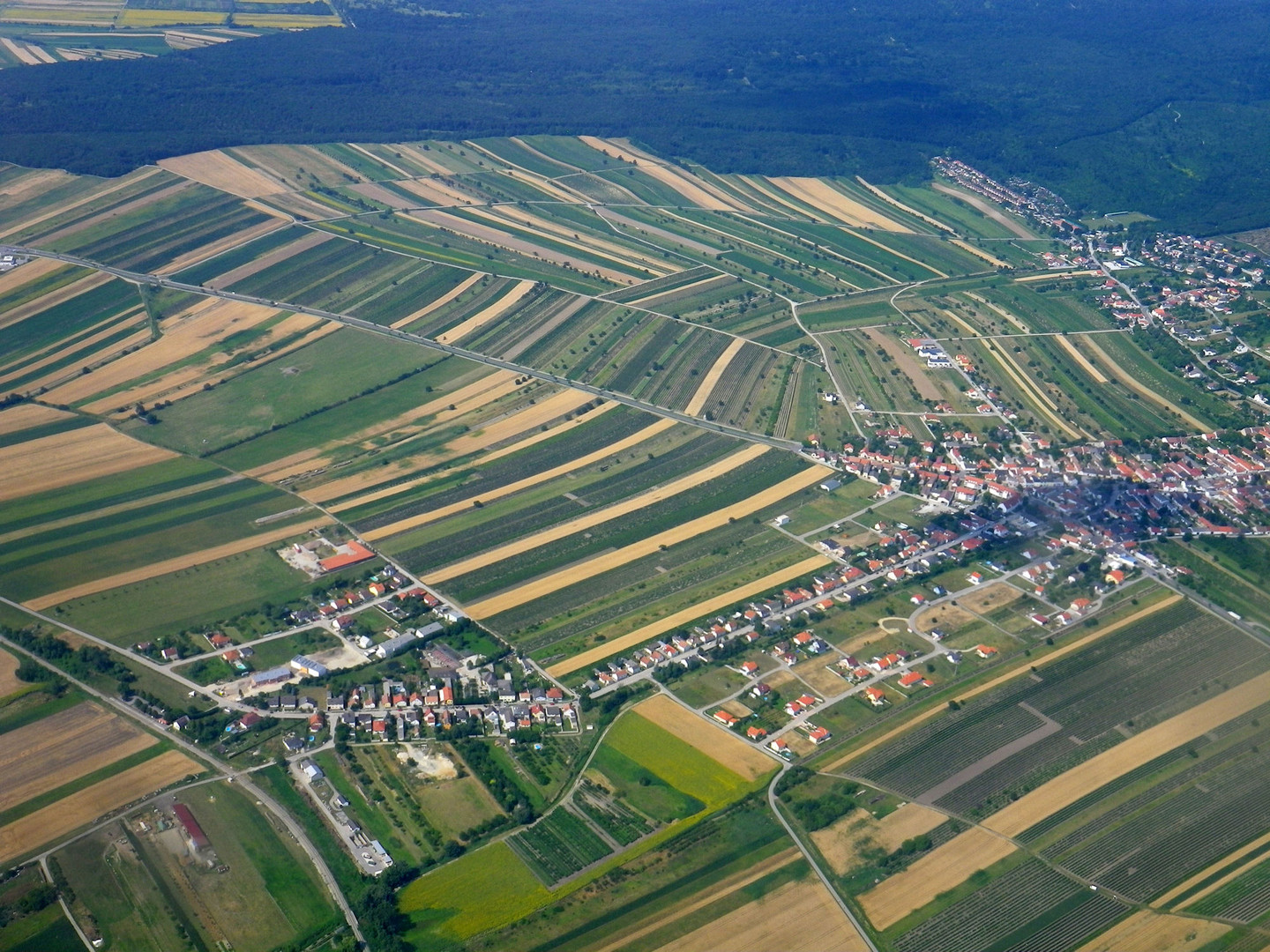 Mosaik des Lebens