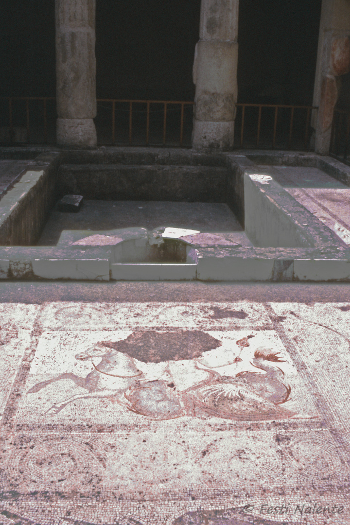 Mosaik in der Casa Romana in Kos