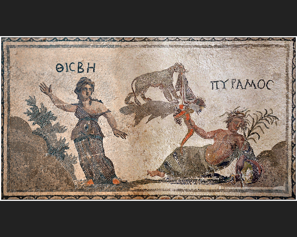 Mosaiken im Haus des Dionysos III Foto & Bild kÝpros & kibris Bilder auf Mosaiken im Haus des Dionysos III Foto & Bild kÝpros & kibris Bilder auf