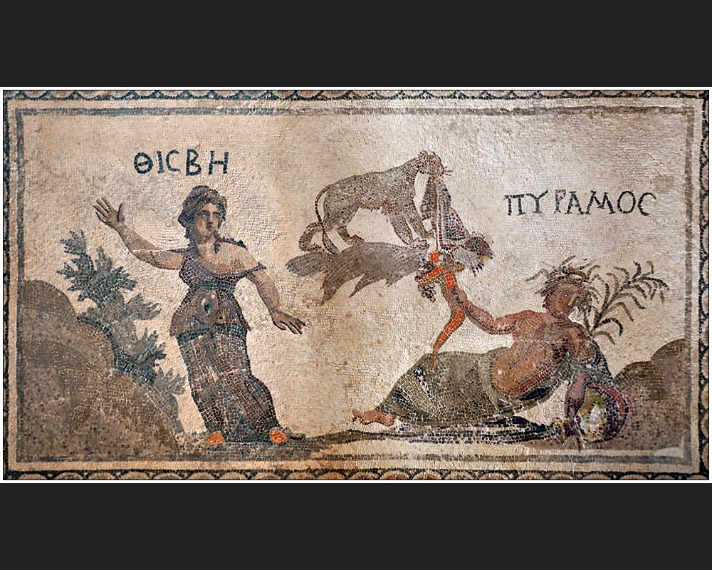 Mosaiken im Haus des Dionysos III