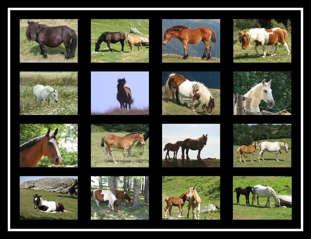 Mosaïque de chevaux