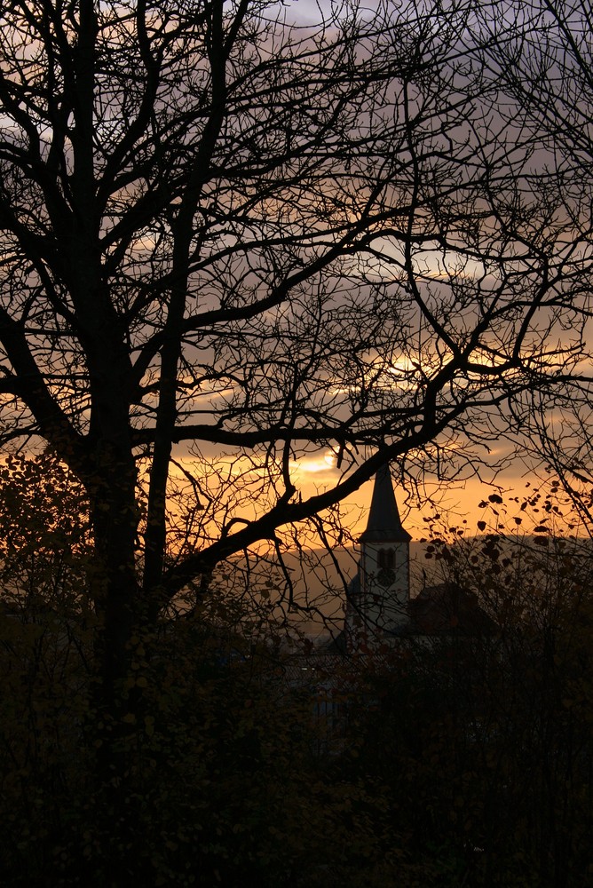 Mosbach in Abendstimmung