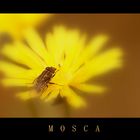 MOSCA