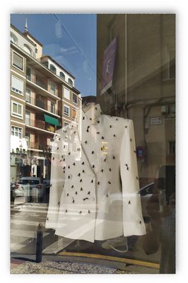 moscas  ...............................