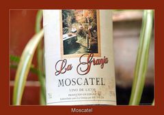 Moscatel