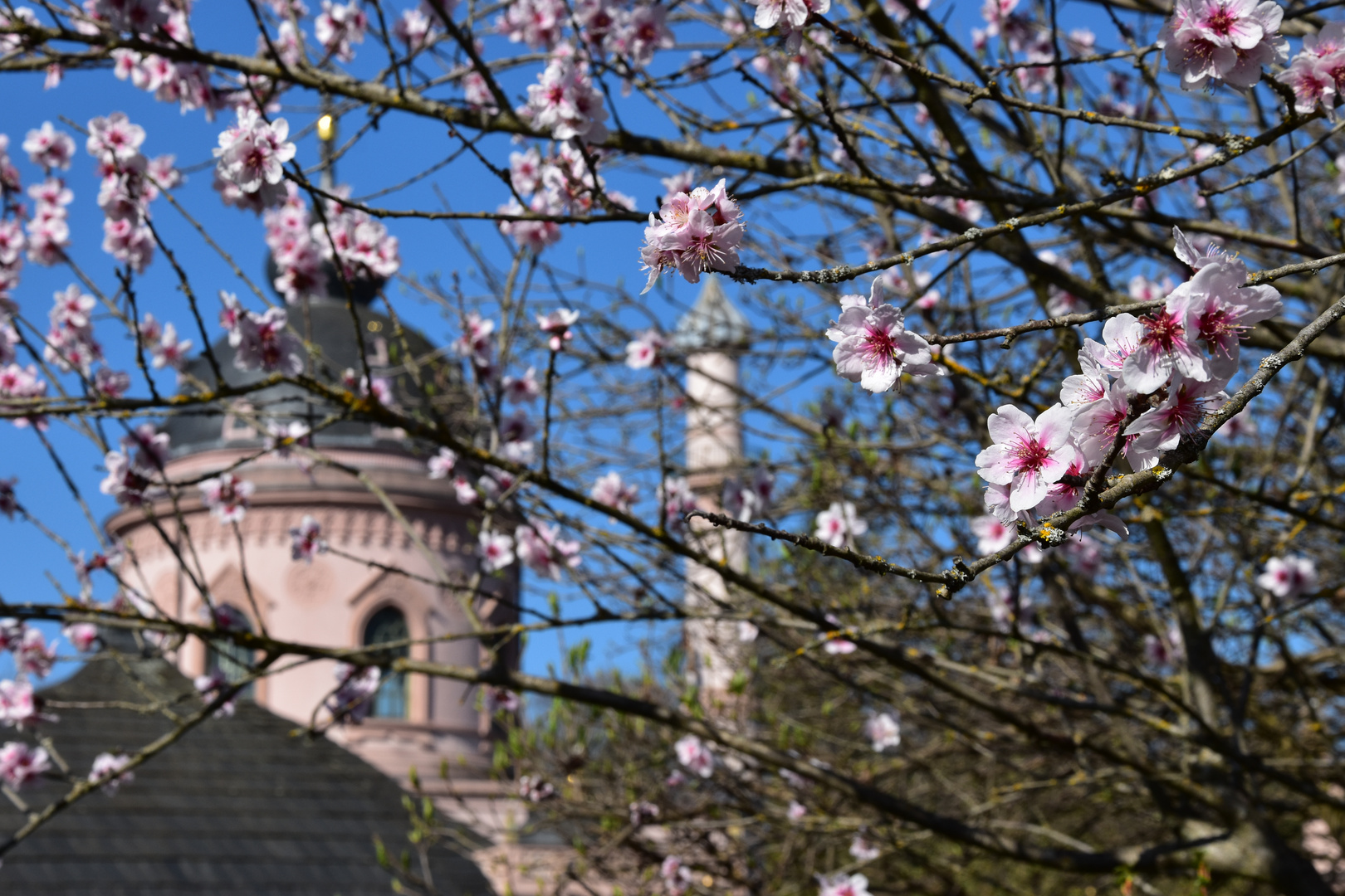 Moschee-Blick