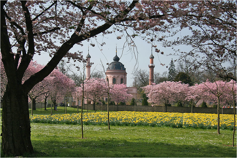 Moschee im Blütenkranz