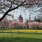 Moschee im Blütenkranz