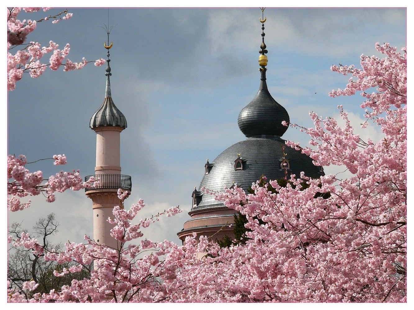 ~ Moschee in rose ~