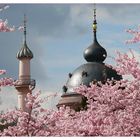 ~ Moschee in rose ~