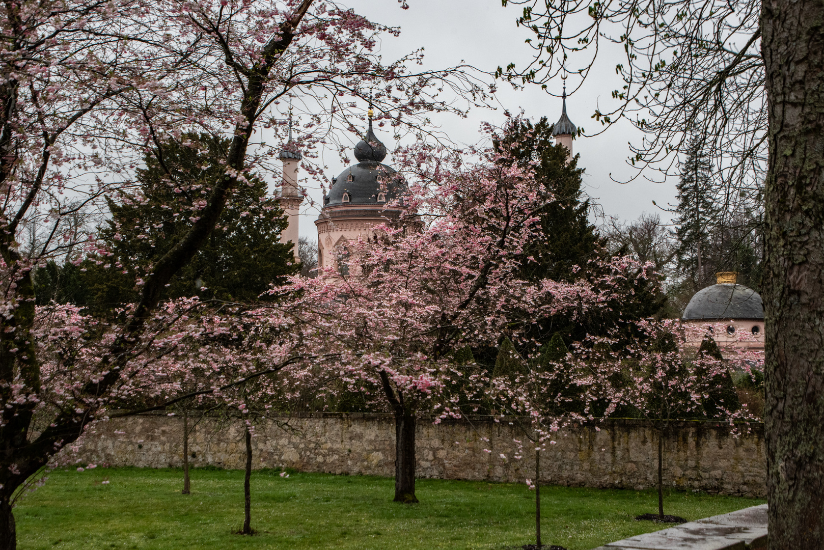 Moschee und Kirschgarten