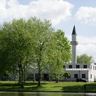 Moschee und Natur in Harmonie