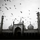 Moschee und Vögel