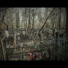 Moscow Cemetry III