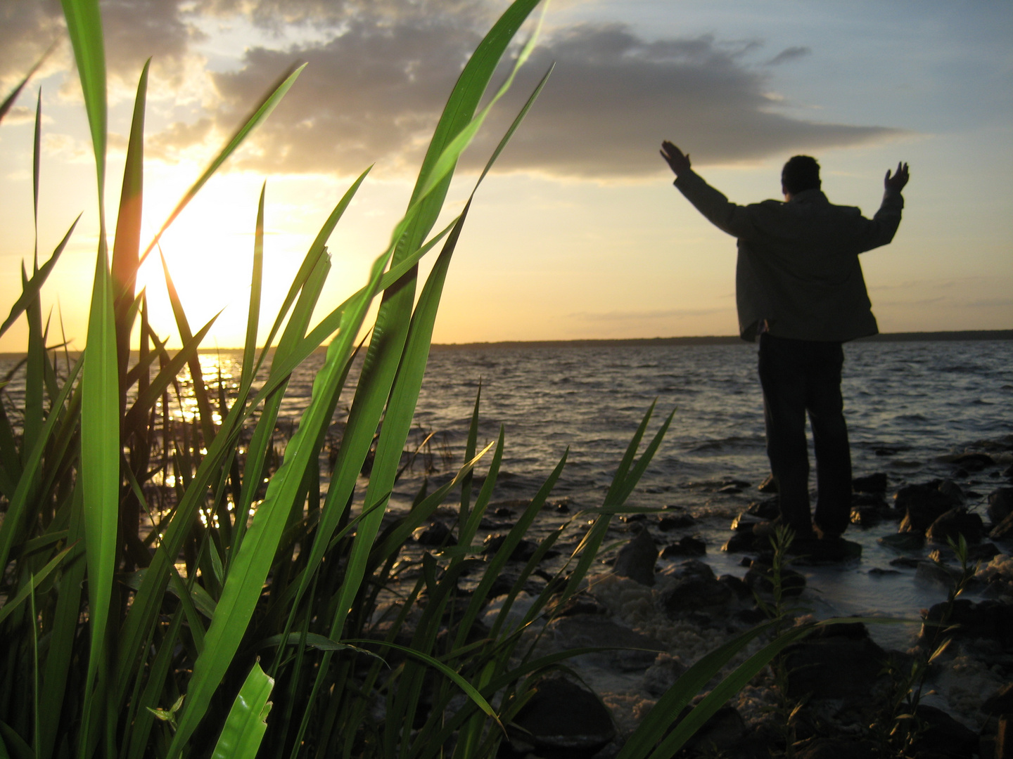 "Mose" am Steinhuder Meer