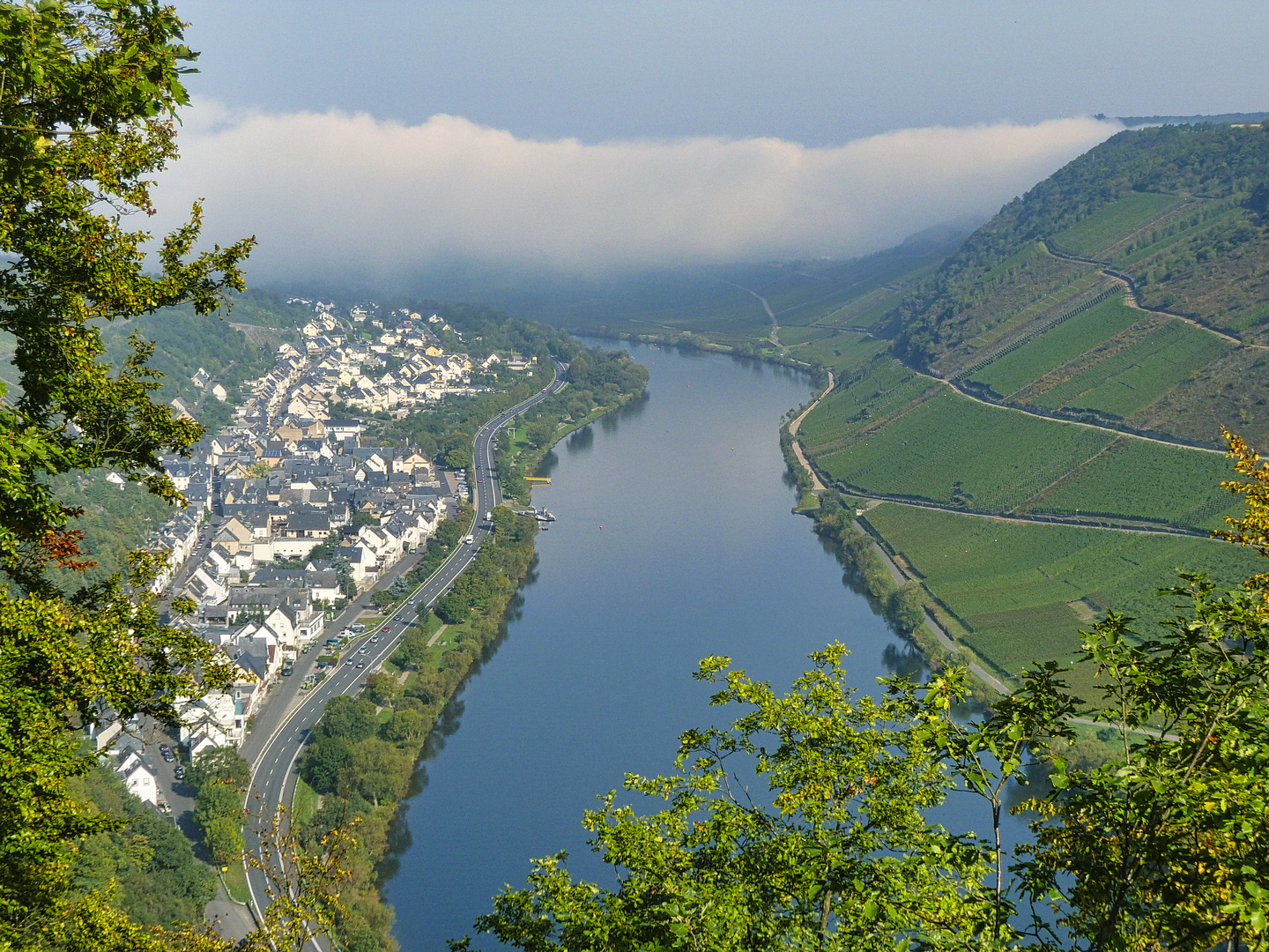 Mosel 1