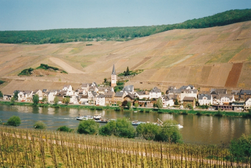 Mosel 1995