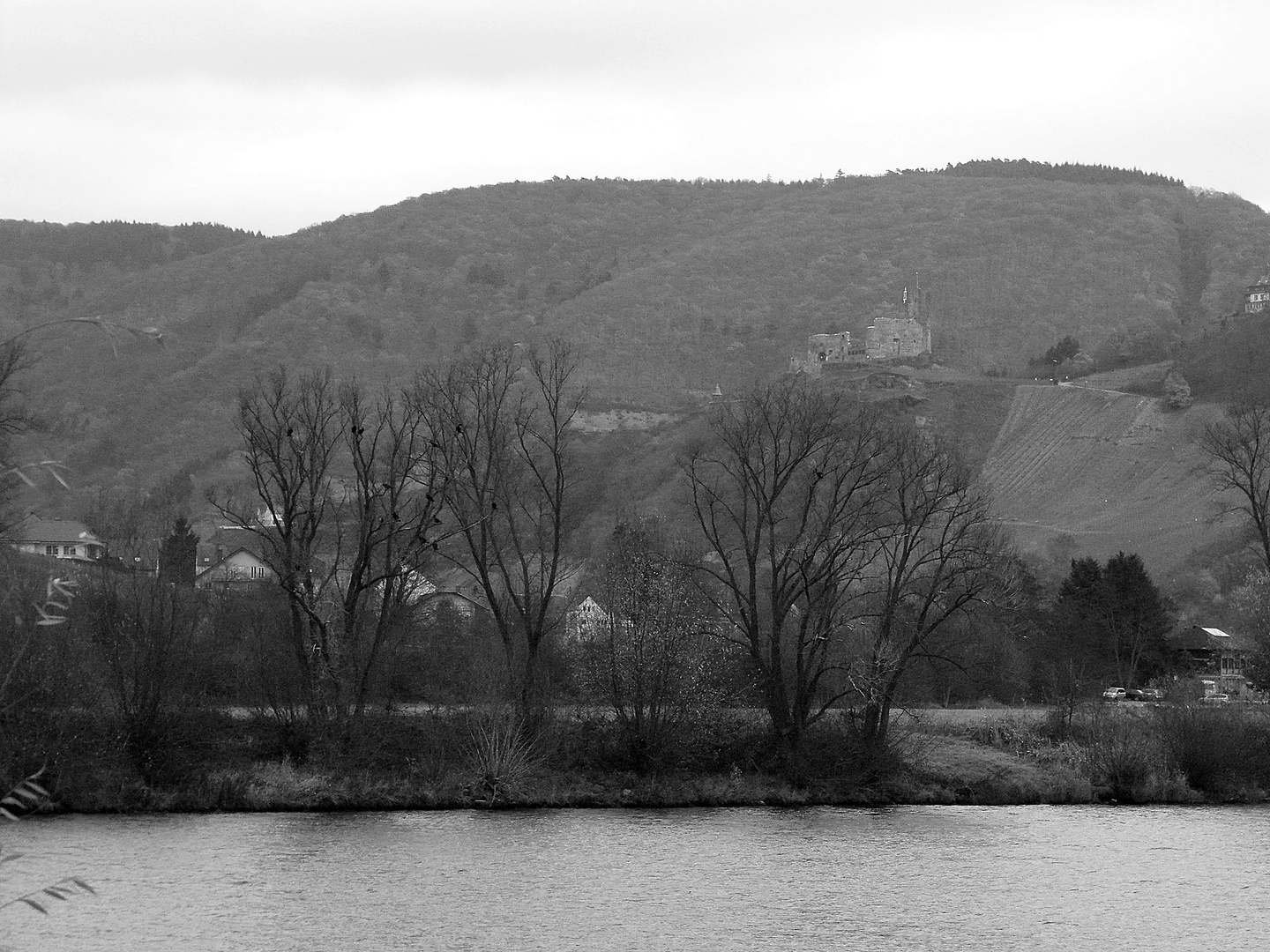 Mosel (2)