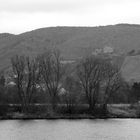 Mosel (2)