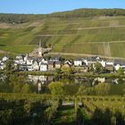 Mosel 2007