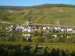 Mosel 2007