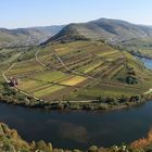 Mosel 2010