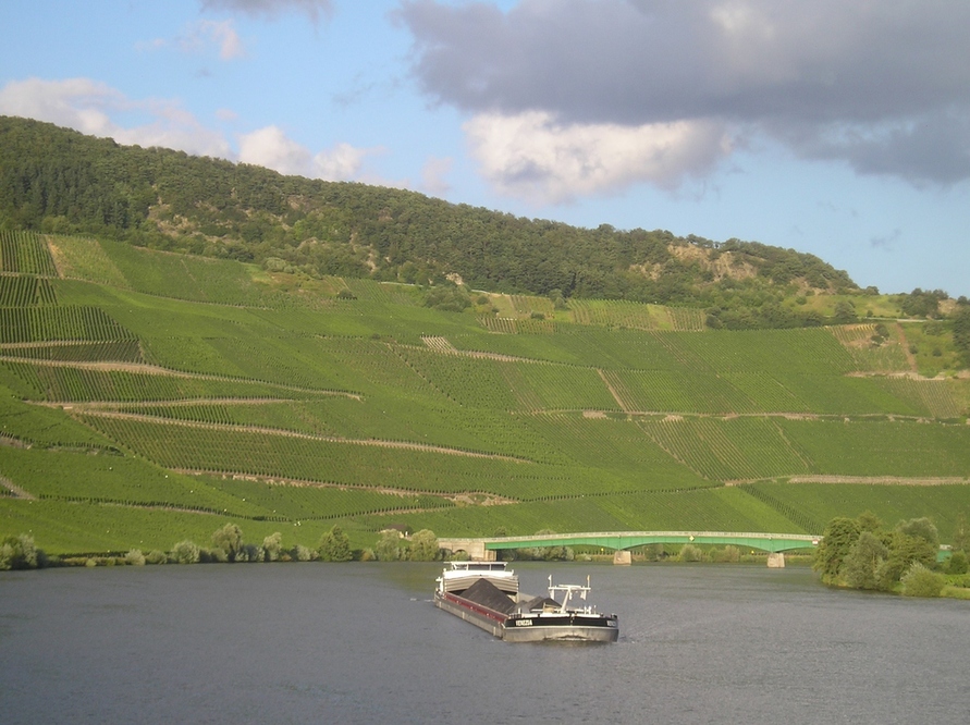 Mosel 2012